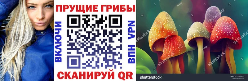 блэк спрут вход  как найти закладки  Далматово  Псилоцибиновые грибы MAGIC MUSHROOMS 